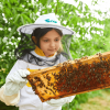 Beekeeping - Kids Edition at Expo City Dubai