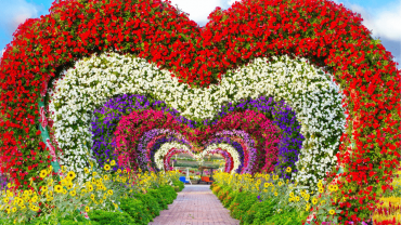 Dubai Miracle Garden